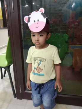 Animal face making