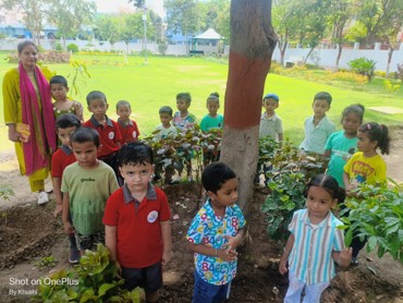 GREEN DAY DELIGHT AT AG COLONY PATNA