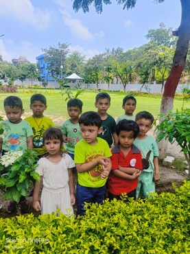 GREEN DAY DELIGHT AT AG COLONY PATNA