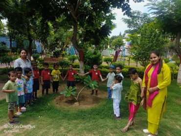 GREEN DAY DELIGHT AT AG COLONY PATNA