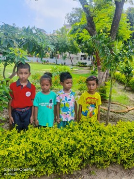 GREEN DAY DELIGHT AT AG COLONY PATNA